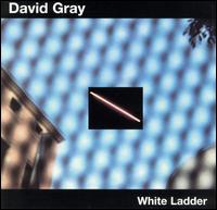 1999-WhiteLadder.jpg
